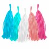 Tassel Tasselgirlande - Gender Reveal Paket